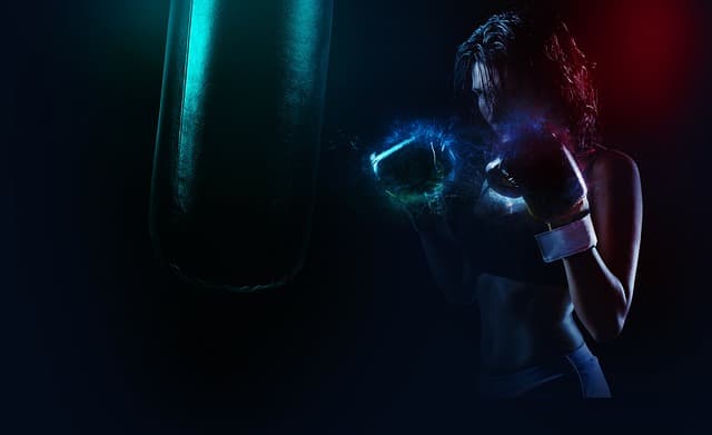 boxer