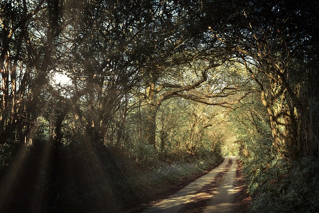path